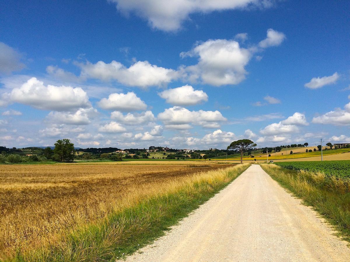 Agriturismo Poggio Antico Binami Eksteriør bilde